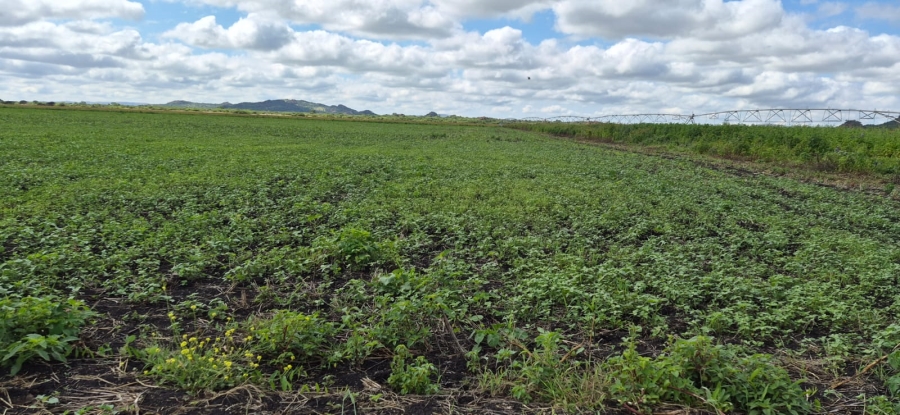 0 Bedroom Property for Sale in Brits Rural North West